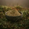 Miska červeného malajského kratomu v lese