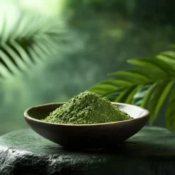 A Bowl of green Mitragyna Javanica in the forest