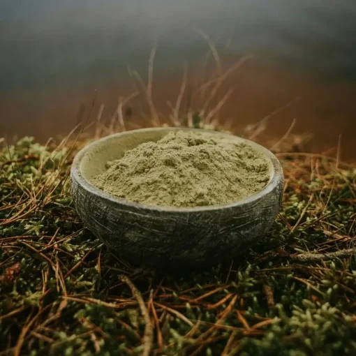 A bowl of White Maeng Da kratom on the forest grass
