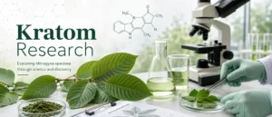 Scientific banner showing kratom leaves, lab glassware, a microscope, and gloved hands examining Mitragyna speciosa samples, representing Christopher McCurdy kratom research in a modern laboratory setting.