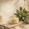 A glass jar filled with light beige kanna extract powder is displayed on a sunlit stone surface next to a flowering succulent, dried herbs, botanical sketches, and subtle chemistry-inspired graphics.